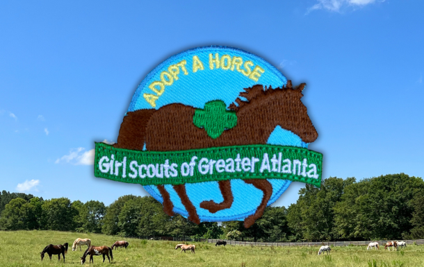 Symbolically adopt your favorite horse and help cover the cost of their care.